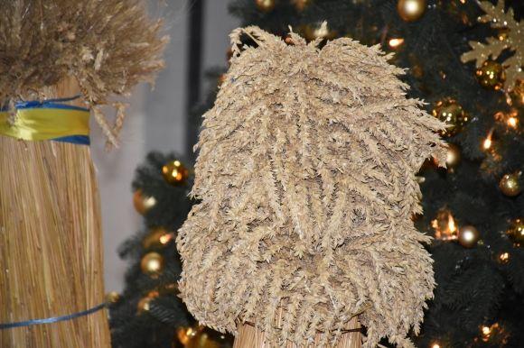 У Вінниці на виставці представили близько 30 дідухів з усієї області, фото №4 на сайті 20minut.ua