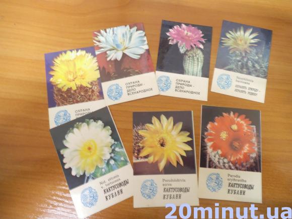 Колекцію календариків віддала в музей на сайті 20minut.ua Колекцію календариків віддала в музей, фото №10 на сайті 20minut.ua