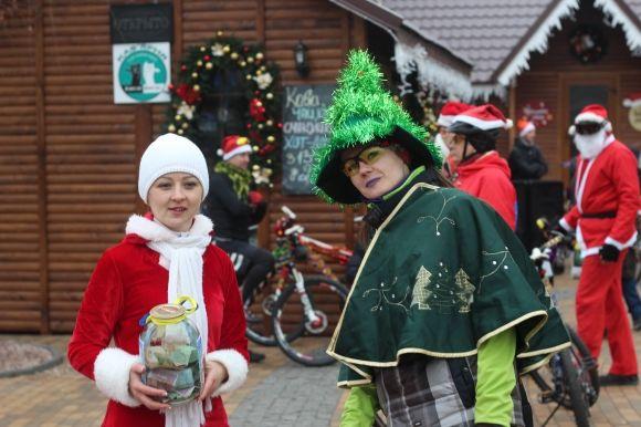 Різдвяний велопарад: Морози та Снігурки на “велооленях” проїхали містом 20 кілометрів, фото №6 на сайті 20minut.ua