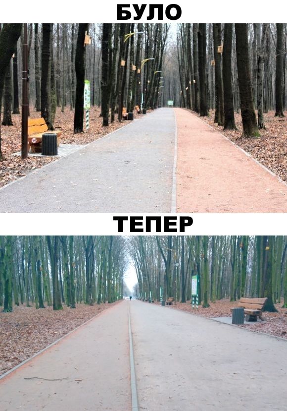 Фото дня: доріжка у Лісопарку виглядає вже не так гарно, як раніше на сайті 20minut.ua Фото дня: доріжка у Лісопарку виглядає вже не так гарно, як раніше, фото №1 на сайті 20minut.ua