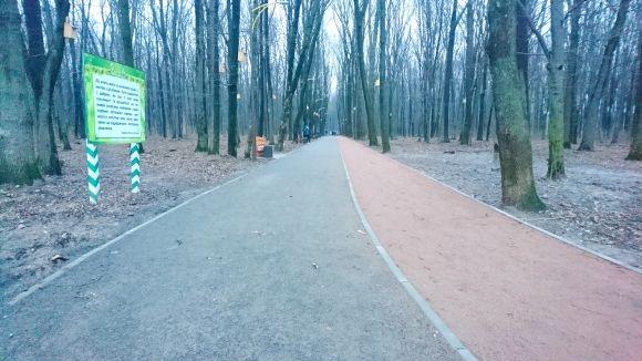 Фото дня: доріжка у Лісопарку виглядає вже не так гарно, як раніше на сайті 20minut.ua Фото дня: доріжка у Лісопарку виглядає вже не так гарно, як раніше, фото №2 на сайті 20minut.ua
