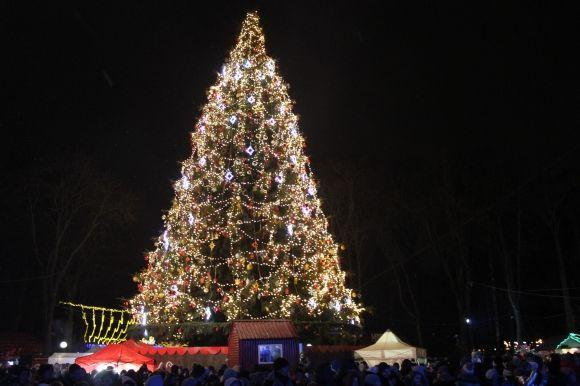 Головну ялинку Вінниці закривали фаєрщики, Цибульська та караоке з «Винником» на сайті 20minut.ua Головну ялинку Вінниці закривали фаєрщики, Цибульська та караоке з «Винником», фото №11 на сайті 20minut.ua