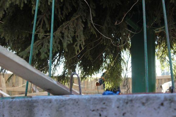 Фото дня. Для того, аби "розібрати" головну ялинку міста, залучили надзвичайників, фото №3 на сайті 20minut.ua