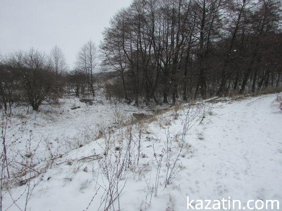 Хутори, де жили пани Табенський, Талімон, Мацкевич
Відносились до села Талимонівка, фото №3 на сайті 20minut.ua