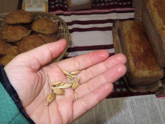 Зимова виставка-ярмарок  у Хмельницькому. Розказуємо про товари і ціни, фото №7 на сайті vsim.ua