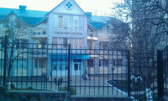 Потрібен ветеринар? Адреси клінік і вартість прийому у Хмельницькому на сайті vsim.ua Потрібен ветеринар? Адреси клінік і вартість прийому у Хмельницькому, фото №2 на сайті vsim.ua