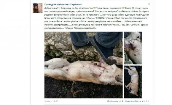 На Тернопільщині, скаржаться жителі району, відстрілюють собак, фото №1 на сайті 20minut.ua