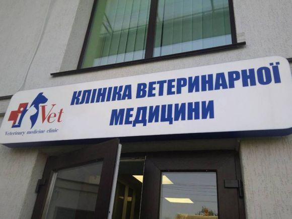 Потрібен ветеринар? Адреси клінік і вартість прийому у Хмельницькому на сайті vsim.ua Потрібен ветеринар? Адреси клінік і вартість прийому у Хмельницькому, фото №1 на сайті vsim.ua