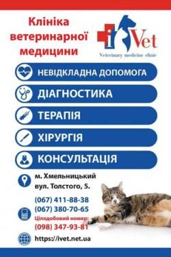 Потрібен ветеринар? Адреси клінік і вартість прийому у Хмельницькому на сайті vsim.ua Потрібен ветеринар? Адреси клінік і вартість прийому у Хмельницькому, фото №7 на сайті vsim.ua
