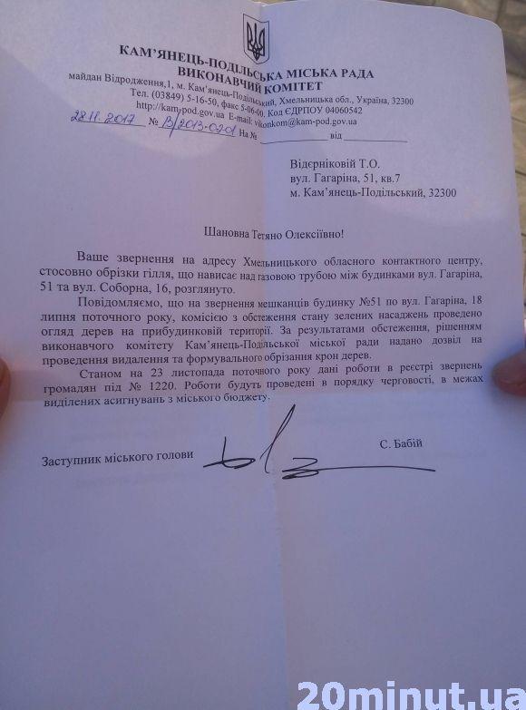 Хто і чому зрізує дерева між будинками у центрі Кам’янця?, фото №2 на сайті 20minut.ua