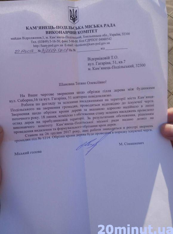 Хто і чому зрізує дерева між будинками у центрі Кам’янця?, фото №3 на сайті 20minut.ua