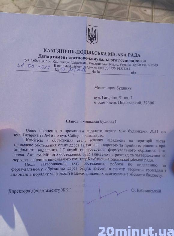 Хто і чому зрізує дерева між будинками у центрі Кам’янця?, фото №4 на сайті 20minut.ua