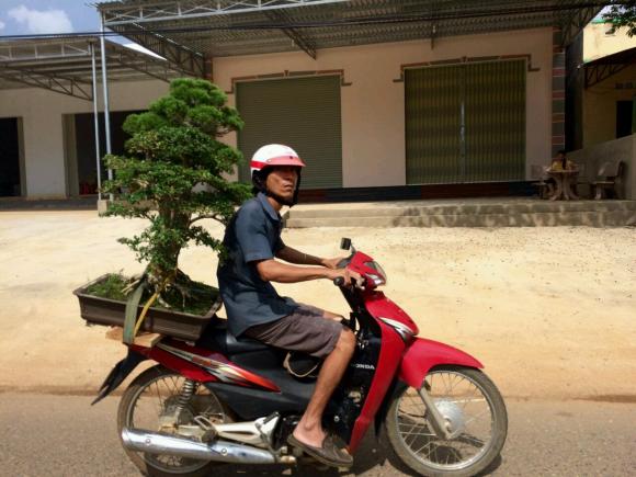 Українці у В'єтнамі: тут можна відкладати і по 500-1200 доларів у місяць, фото №2 на сайті 20minut.ua