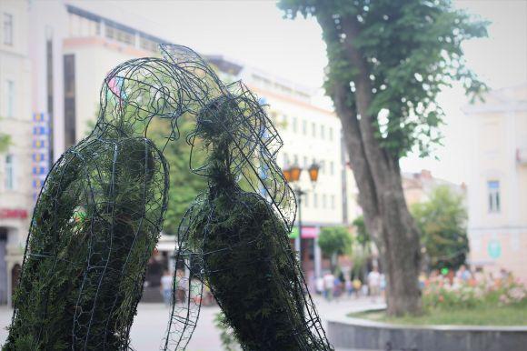 Новини Вінниці - фото з На Європейській площі з'явилися фігурки з туй: закохані та сімейство слонів На Європейській площі з'явилися фігурки з туй: закохані та сімейство слонів, фото №11 на сайті 20minut.ua