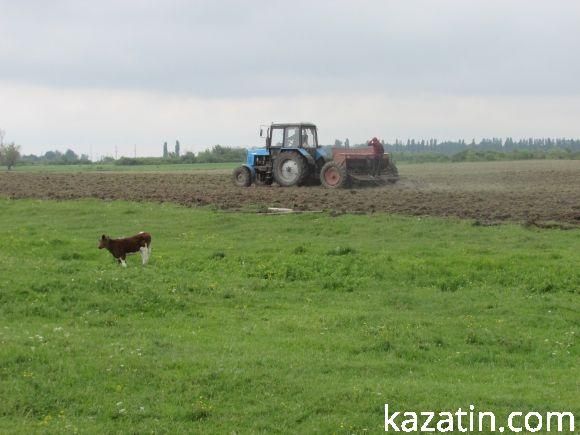 Новини Козятина - фото з Пасовисько розорав депутат? Пасовисько розорав депутат?, фото №1 на сайті 20minut.ua