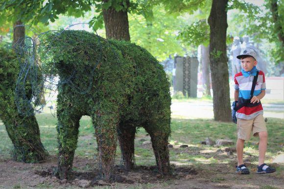 Новини Вінниці - фото з На Європейській площі з'явилися фігурки з туй: закохані та сімейство слонів На Європейській площі з'явилися фігурки з туй: закохані та сімейство слонів, фото №4 на сайті 20minut.ua