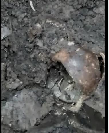 Новини Тернополя - фото з У селі Шупарка люди викопали на подвір'ї дитячі кістки У селі Шупарка люди викопали на подвір'ї дитячі кістки, фото №1 на сайті 20minut.ua