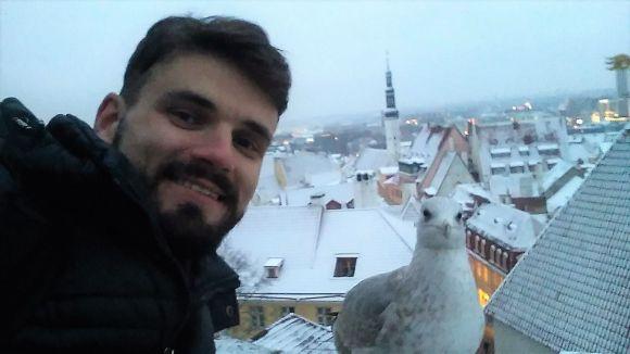 Таллінн очима вінничанина: чайка зі сторінкою Інстаграм, “Рошен” і ніякої кави після 19.00, фото №6 на сайті 20minut.ua