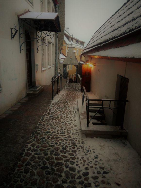 Таллінн очима вінничанина: чайка зі сторінкою Інстаграм, “Рошен” і ніякої кави після 19.00, фото №9 на сайті 20minut.ua