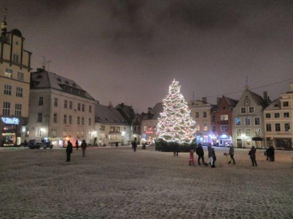 Таллінн очима вінничанина: чайка зі сторінкою Інстаграм, “Рошен” і ніякої кави після 19.00, фото №5 на сайті 20minut.ua