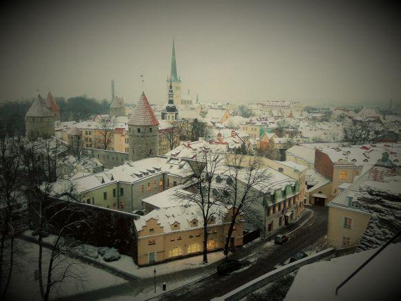Таллінн очима вінничанина: чайка зі сторінкою Інстаграм, “Рошен” і ніякої кави після 19.00, фото №8 на сайті 20minut.ua
