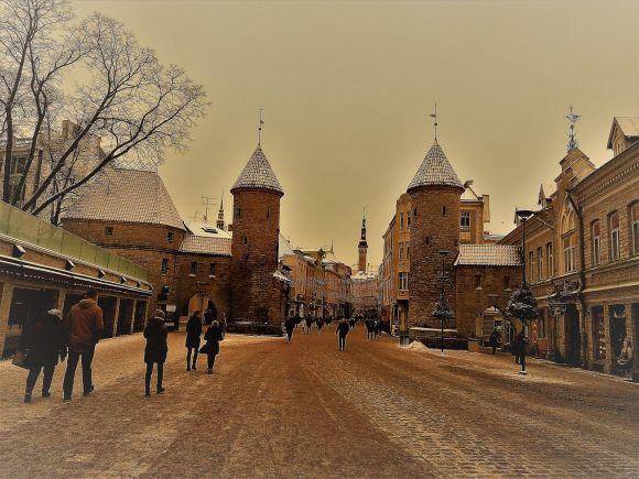 Таллінн очима вінничанина: чайка зі сторінкою Інстаграм, “Рошен” і ніякої кави після 19.00, фото №4 на сайті 20minut.ua