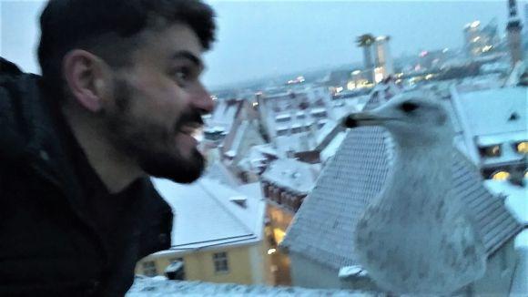 Таллінн очима вінничанина: чайка зі сторінкою Інстаграм, “Рошен” і ніякої кави після 19.00, фото №7 на сайті 20minut.ua