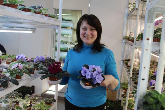 Новини Вінниці - фото з Фіалковий рай: як вінничанка вивела сорт "Океан Ельзи" Фіалковий рай: як вінничанка вивела сорт "Океан Ельзи", фото №2 на сайті 20minut.ua