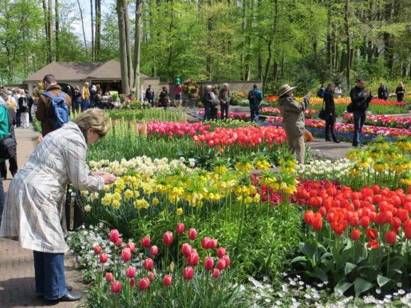 Як живуть українці у Нідерландах, фото №6 на сайті 20minut.ua