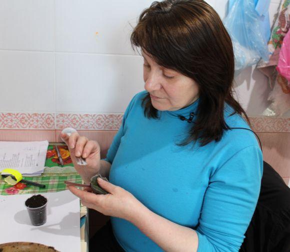 Новини Вінниці - фото з Фіалковий рай: як вінничанка вивела сорт "Океан Ельзи" Фіалковий рай: як вінничанка вивела сорт "Океан Ельзи", фото №8 на сайті 20minut.ua