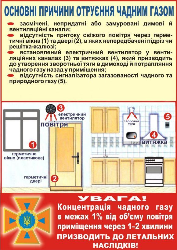 Масове отруєння чадним газом: мати та троє дітей потрапили у лікарню, фото №1 на сайті 20minut.ua