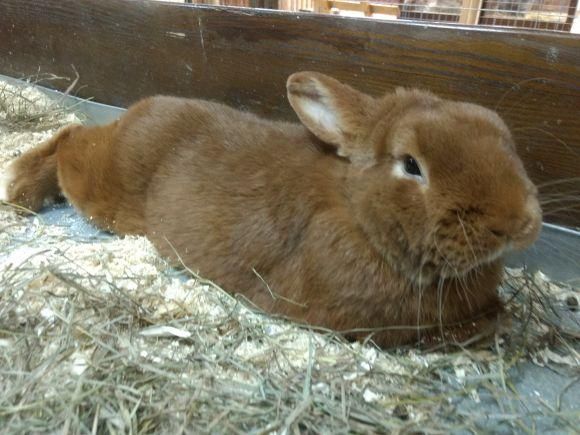 Куди піти у вихідні 3-4 березня. "ВСІМ" рекомендує, фото №11 на сайті vsim.ua