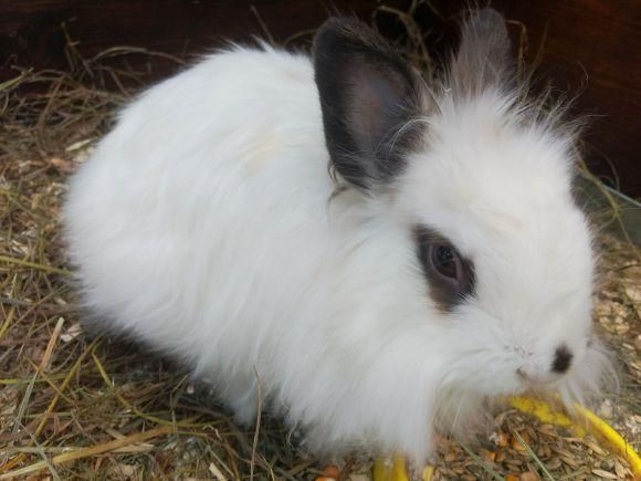 Куди піти у вихідні 10-11 березня. ВСІМ рекомендує, фото №11 на сайті vsim.ua