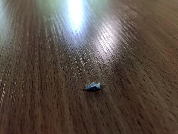 Вінницький школяр встановив рекорд України: створив найменше орігамі, фото №4 на сайті 20minut.ua