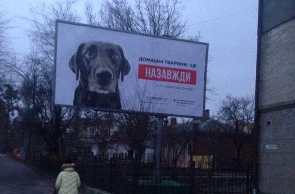 Новини Хмельницького - фото з