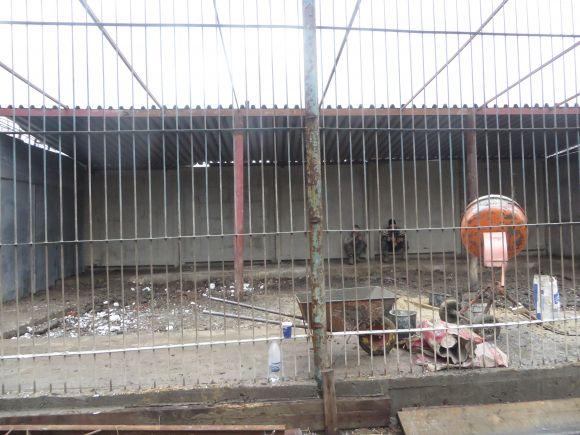 Новини Хмельницького - фото з Приватний зоокуточок Пальохіна переїжджає. Вхід буде платний Приватний зоокуточок Пальохіна переїжджає. Вхід буде платний, фото №3 на сайті vsim.ua