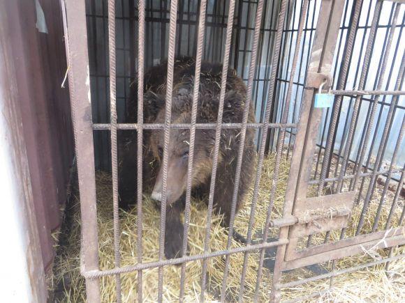 Новини Хмельницького - фото з Приватний зоокуточок Пальохіна переїжджає. Вхід буде платний Приватний зоокуточок Пальохіна переїжджає. Вхід буде платний, фото №5 на сайті vsim.ua