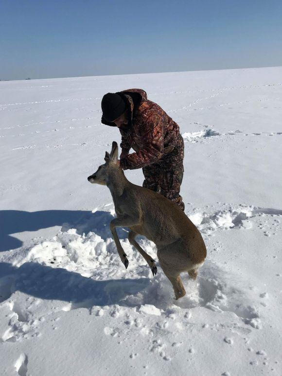 Новини Вінниці - фото з У Бершадському районі лісники врятували поранену та отруєну козулю У Бершадському районі лісники врятували поранену та отруєну козулю, фото №1 на сайті 20minut.ua