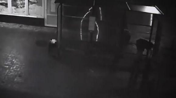 Новини Вінниці - фото з 19-річний вінничанин стріляв на дитмайданчику. Відео ситуаційного центру 19-річний вінничанин стріляв на дитмайданчику. Відео ситуаційного центру, фото №1 на сайті 20minut.ua