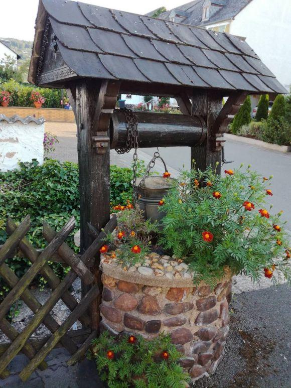 Садово-ландшафтний центр «Краєвид»: наші рослини приживаються у 99% випадків (Новини компаній), фото №2 на сайті 20minut.ua