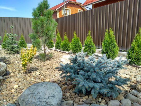 Садово-ландшафтний центр «Краєвид»: наші рослини приживаються у 99% випадків (Новини компаній), фото №4 на сайті 20minut.ua