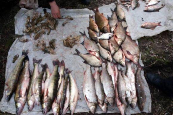 Новини Хмельницького - фото з У заповіднику на Кам'янеччині спіймали двох браконьєрів У заповіднику на Кам'янеччині спіймали двох браконьєрів, фото №1 на сайті vsim.ua