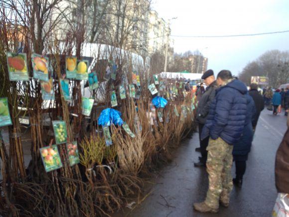 Новини Хмельницького - фото з Ранковий ярмарок на Прибузькій: що купували хмельничани Ранковий ярмарок на Прибузькій: що купували хмельничани, фото №9 на сайті vsim.ua