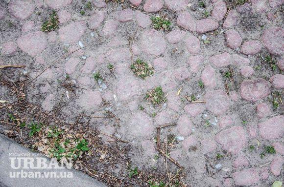 Високі «зебри» та еко-парковки: вдалі та провальні експерименти у Вінниці, фото №2 на сайті 20minut.ua