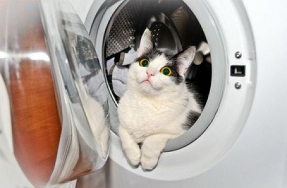 Новини Вінниці - фото з Страсний тиждень 2018: що не можна робити та як правильно його провести Страсний тиждень 2018: що не можна робити та як правильно його провести, фото №2 на сайті 20minut.ua