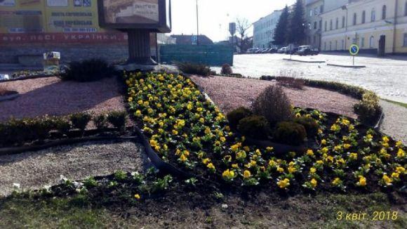 У Кам’янці до Великодня облаштовують перші квітники (ФОТО ДНЯ), фото №1 на сайті 20minut.ua