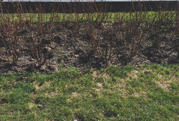 На що приречені дивитись хмельницькі статуї?, фото №5 на сайті vsim.ua