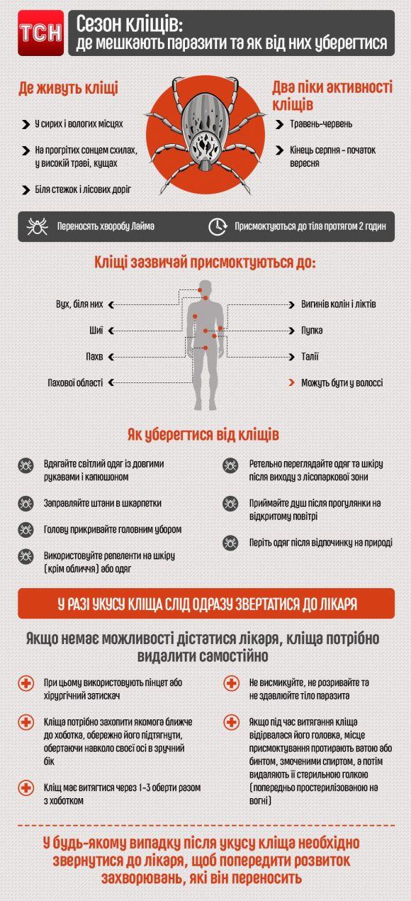 Новини Хмельницького - фото з Обережно, кліщі: як вберегтись хмельничанам Обережно, кліщі: як вберегтись хмельничанам, фото №1 на сайті vsim.ua