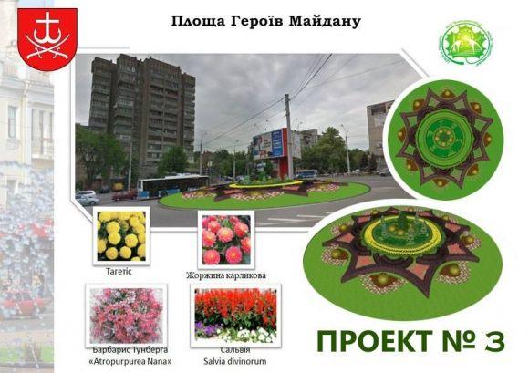 Вінничани можуть обрати дизайн однієї із міських клумб. Розпочалося голосування, фото №3 на сайті 20minut.ua