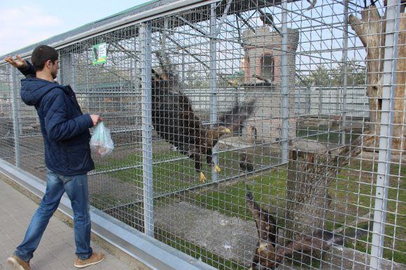 Новини Вінниці - фото з Подільський зоопарк: що варто знати відвідувачам і як туди дістатися Подільський зоопарк: що варто знати відвідувачам і як туди дістатися, фото №4 на сайті 20minut.ua